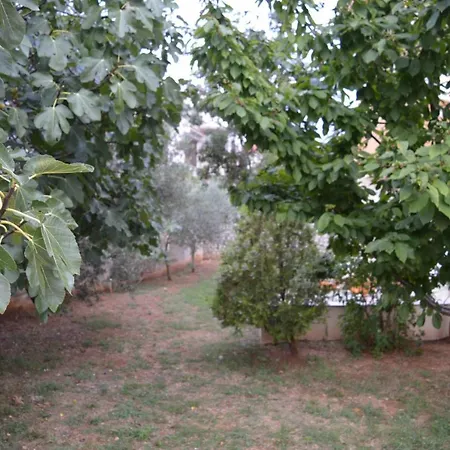 With Parking Space Punat, Krk - 16307 * Punat